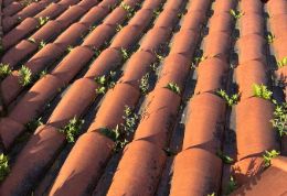 Trabajos verticales en tejado - Seguridad en altura